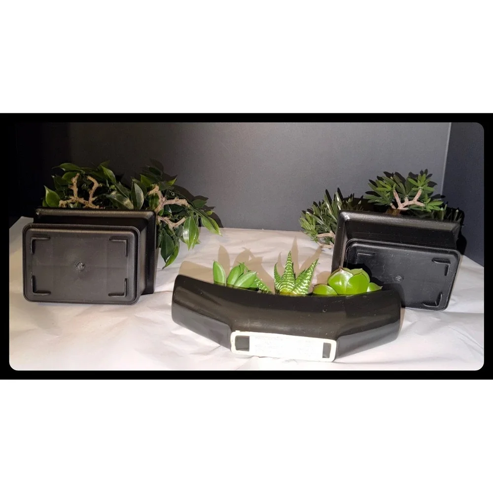 Artificial Bonsai and Succulent Set Home Decor Greenery Black Planters Zen